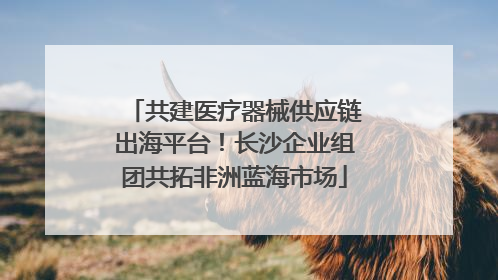 共建医疗器械供应链出海平台！长沙企业组团共拓非洲蓝海市场