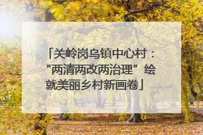 关岭岗乌镇中心村：“两清两改两治理”绘就美丽乡村新画卷