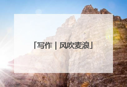 写作｜风吹麦浪
