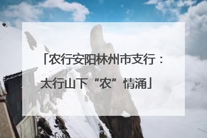 农行安阳林州市支行：太行山下“农”情涌