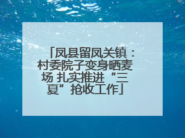 凤县留凤关镇：村委院子变身晒麦场 扎实推进“三夏”抢收工作