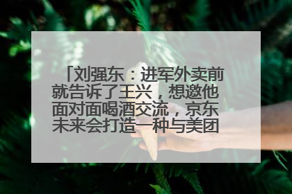 刘强东：进军外卖前就告诉了王兴，想邀他面对面喝酒交流，京东未来会打造一种与美团不同的商业模式