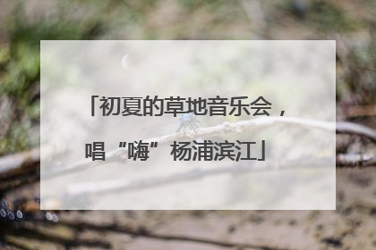 初夏的草地音乐会，唱“嗨”杨浦滨江