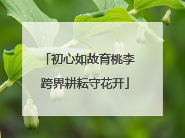 初心如故育桃李 跨界耕耘守花开