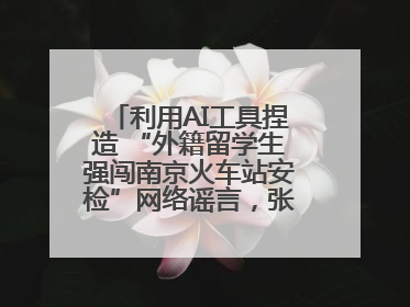 利用AI工具捏造 “外籍留学生强闯南京火车站安检”网络谣言，张某燕被行政拘留