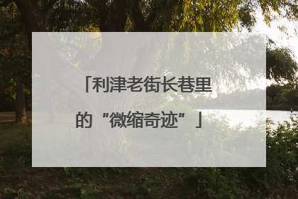 利津老街长巷里的“微缩奇迹”