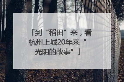 到“稻田”来，看杭州上城20年来“光阴的故事”