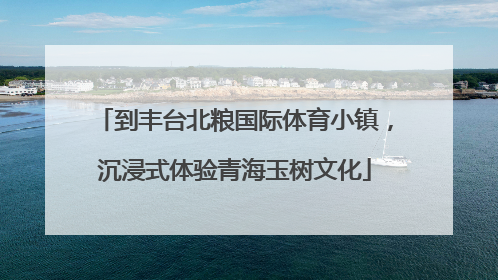 到丰台北粮国际体育小镇，沉浸式体验青海玉树文化
