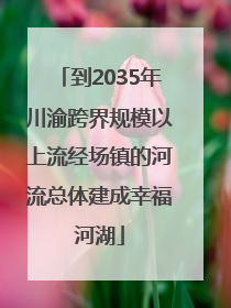 到2035年川渝跨界规模以上流经场镇的河流总体建成幸福河湖