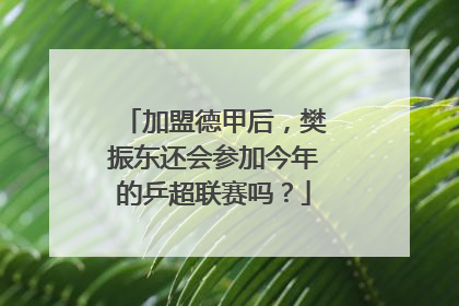 加盟德甲后，樊振东还会参加今年的乒超联赛吗？