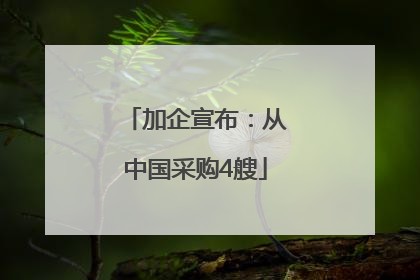 加企宣布：从中国采购4艘