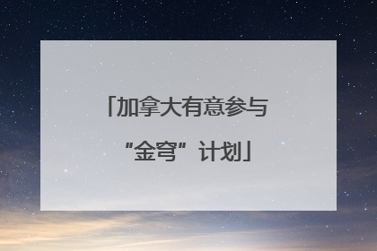 加拿大有意参与“金穹”计划