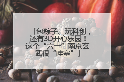 包粽子、玩科创，还有3D开心乐园！这个“六一”南京玄武很“哇塞”