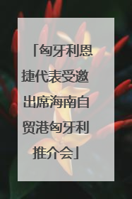 匈牙利恩捷代表受邀出席海南自贸港匈牙利推介会