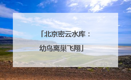 北京密云水库：幼鸟离巢飞翔