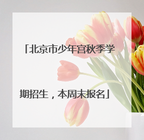 北京市少年宫秋季学期招生，本周末报名
