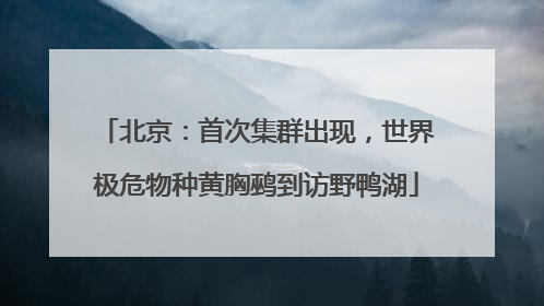 北京：首次集群出现，世界极危物种黄胸鹀到访野鸭湖