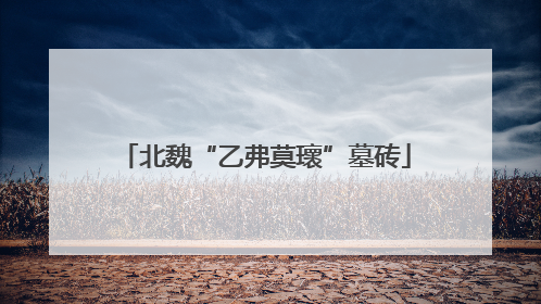 北魏“乙弗莫瓌”墓砖