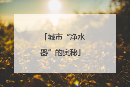 城市“净水器”的奥秘