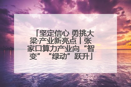 坚定信心 勇挑大梁·产业新亮点丨张家口算力产业向“智变”“绿动”跃升