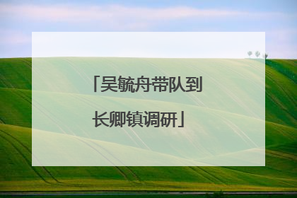 吴毓舟带队到长卿镇调研