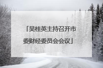 吴桂英主持召开市委财经委员会会议