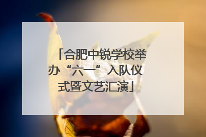 合肥中锐学校举办“六一”入队仪式暨文艺汇演