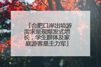 合肥口岸出境游需求呈现爆发式增长，学生群体及家庭游客是主力军