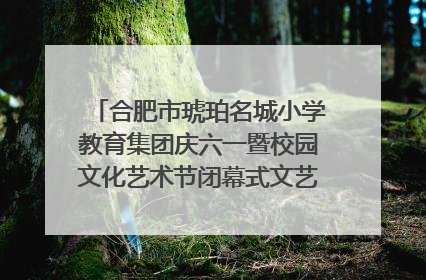 合肥市琥珀名城小学教育集团庆六一暨校园文化艺术节闭幕式文艺汇演圆满举行