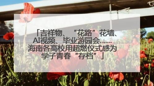 吉祥物、“花路”花墙、AI视频、毕业游园会……海南各高校用超燃仪式感为学子青春“存档”