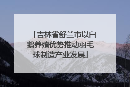 吉林省舒兰市以白鹅养殖优势推动羽毛球制造产业发展