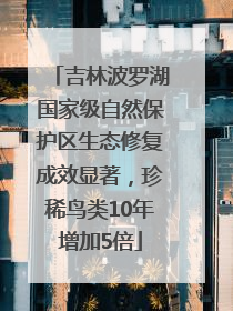 吉林波罗湖国家级自然保护区生态修复成效显著，珍稀鸟类10年增加5倍
