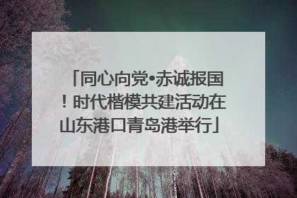 同心向党•赤诚报国！时代楷模共建活动在山东港口青岛港举行