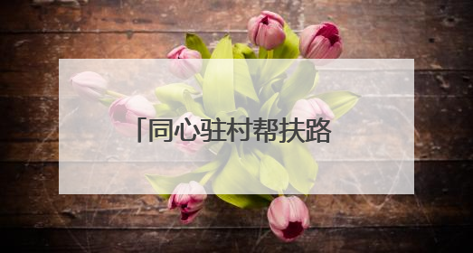 同心驻村帮扶路 共筑瑶乡振兴梦