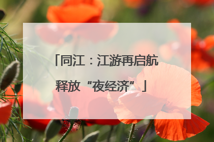 同江：江游再启航 释放“夜经济”