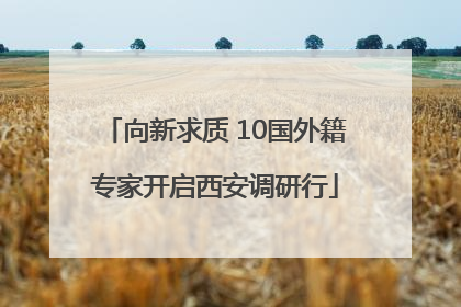 向新求质 10国外籍专家开启西安调研行
