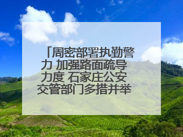 周密部署执勤警力 加强路面疏导力度 石家庄公安交管部门多措并举确保考点周边交通环境良好