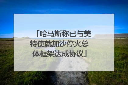 哈马斯称已与美特使就加沙停火总体框架达成协议