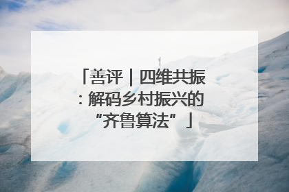 善评｜四维共振：解码乡村振兴的“齐鲁算法”