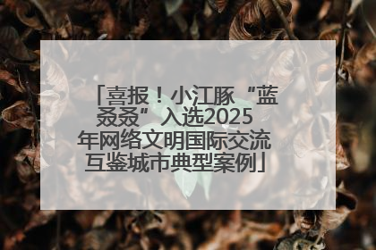 喜报！小江豚“蓝叒叒”入选2025年网络文明国际交流互鉴城市典型案例