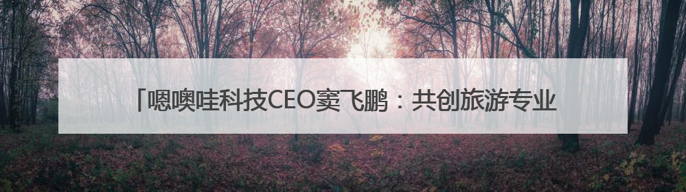 嗯噢哇科技CEO窦飞鹏：共创旅游专业能力认知平台，激发行业“自生长”力量