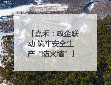 嘉禾：政企联动 筑牢安全生产“防火墙”