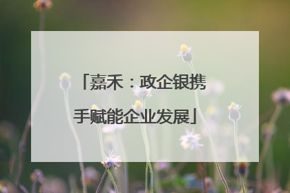嘉禾：政企银携手赋能企业发展