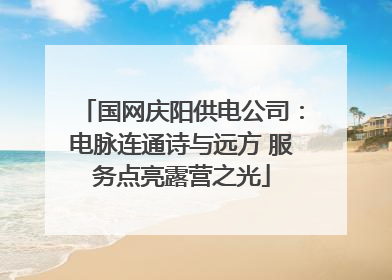 国网庆阳供电公司：电脉连通诗与远方 服务点亮露营之光