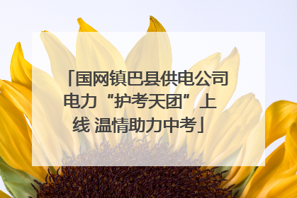 国网镇巴县供电公司 电力“护考天团”上线 温情助力中考