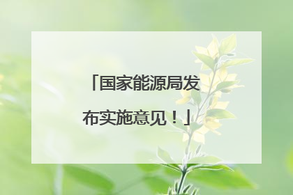 国家能源局发布实施意见！