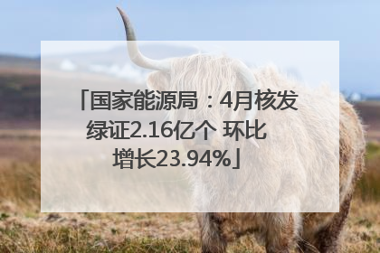 国家能源局：4月核发绿证2.16亿个 环比增长23.94%