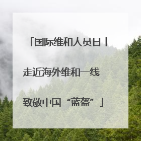 国际维和人员日丨走近海外维和一线 致敬中国“蓝盔”