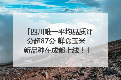 四川唯一平均品质评分超87分 鲜食玉米新品种在成都上线！