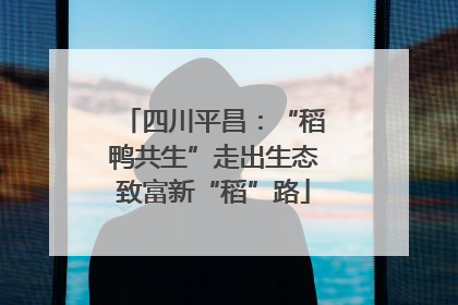 四川平昌：“稻鸭共生”走出生态致富新“稻”路